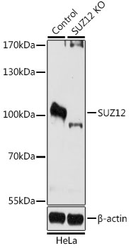 A7786_2.jpg