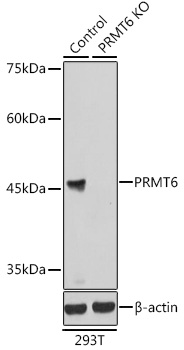 A7814_2.jpg