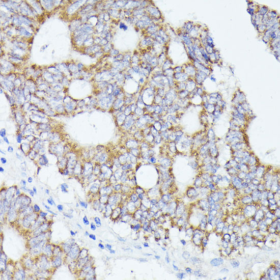 A7866_3.jpg