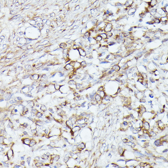 A7866_4.jpg