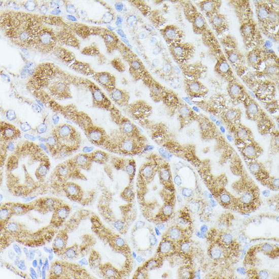 A7866_5.jpg