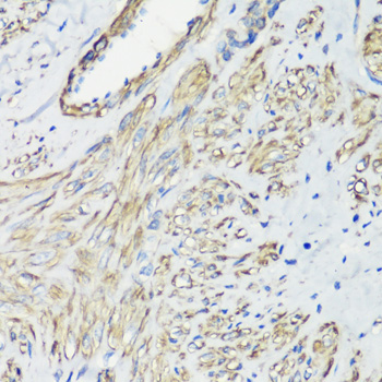 A7896_4.jpg