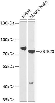 A7970_1.jpg
