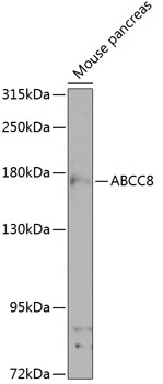 A8456_1.jpg