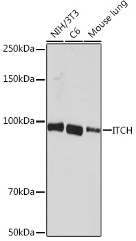A8624_2.jpg