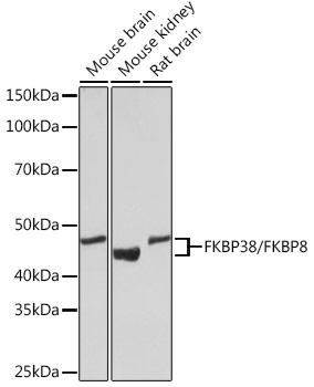 A8701_2.jpg