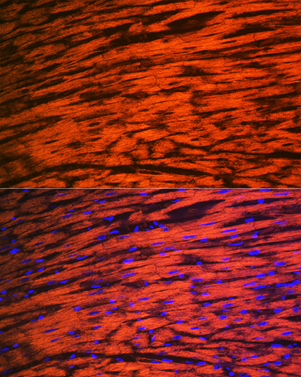 A8742_2.jpg