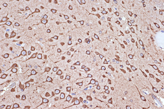 A8744_2.jpg