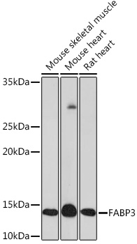 A8789_1.jpg
