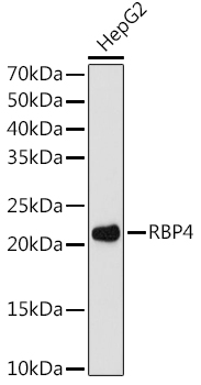 A8807_1.jpg