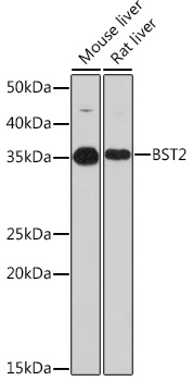 A8839_1.jpg