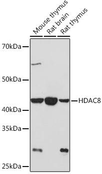 A8865_2.jpg