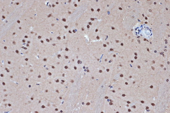 A8865_4.jpg