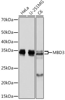 A8905_1.jpg