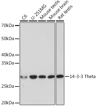 A8936_1.jpg