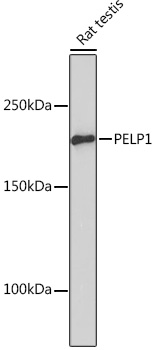 A9026_2.jpg