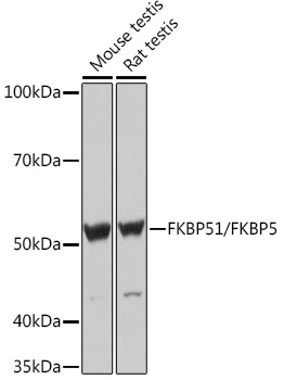 A9090_1.jpg