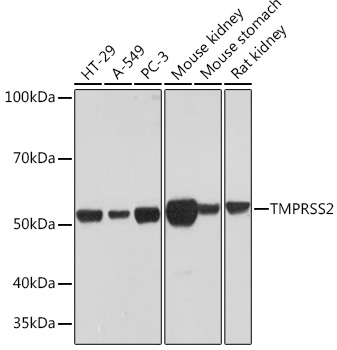 A9126_1.jpg