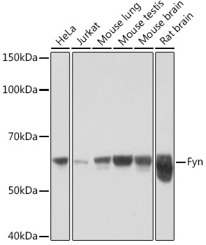 A9165_1.jpg