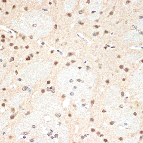 A9182_2.jpg
