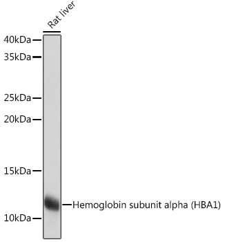 A9293_1.jpg