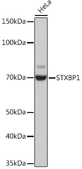 A9309_1.jpg