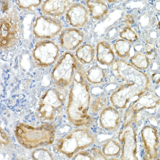 A9317_6.jpg