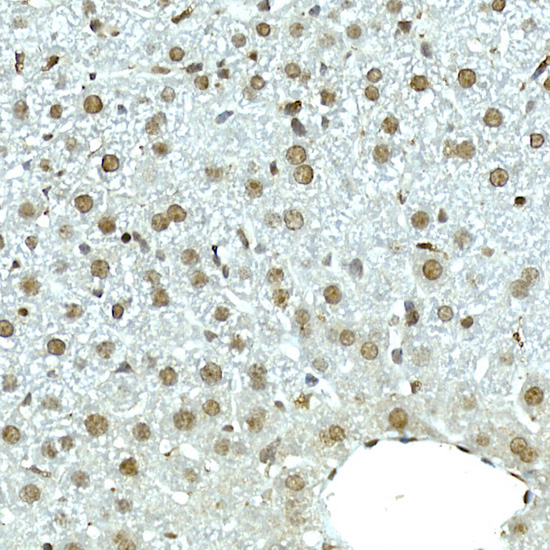 A9356_2.jpg