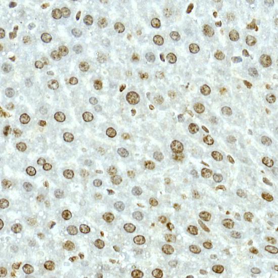 A9356_3.jpg
