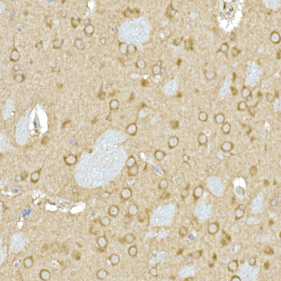A9416_3.jpg