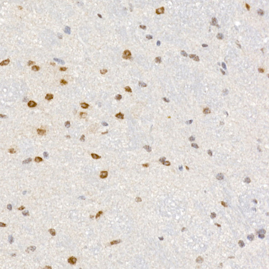 A9426_3.jpg