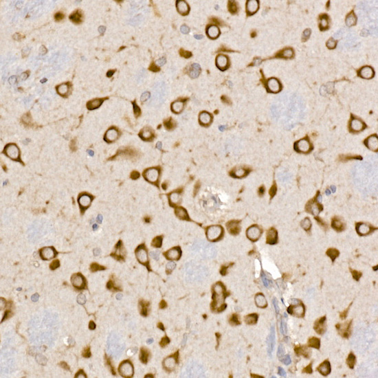 A9430_5.jpg
