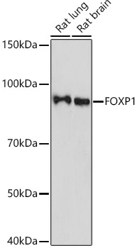 A9540_2.jpg