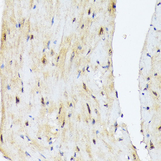 A9608_4.jpg