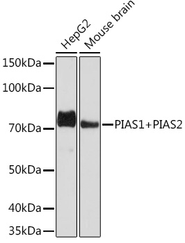 A9670_1.jpg
