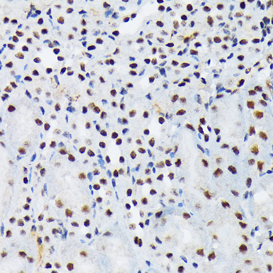 A9670_4.jpg