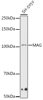A9671_2.jpg