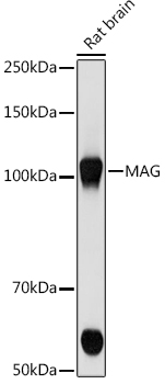 A9671_3.jpg