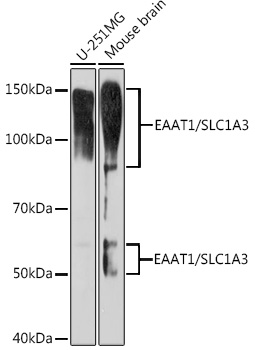 A9712_1.jpg