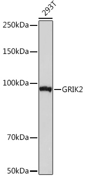 A9722_2.jpg