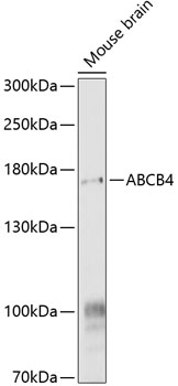 A9835_1.jpg