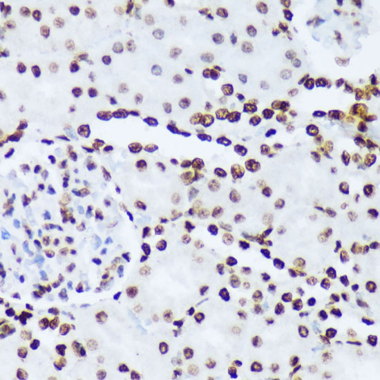 AP0001_2.jpg