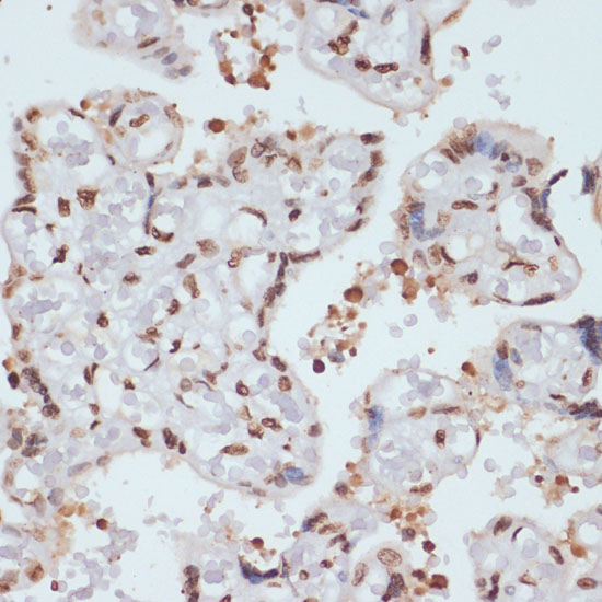 AP0017_3.jpg