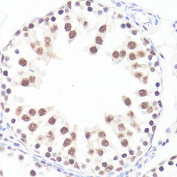 AP0082_2.jpg