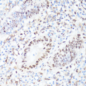 AP0082_3.jpg