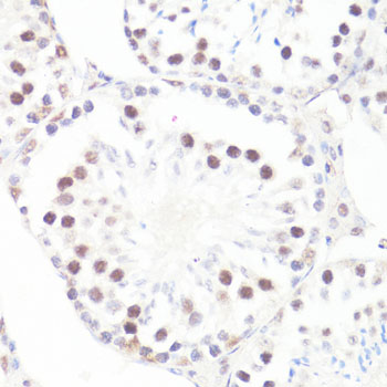 AP0082_4.jpg