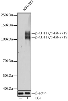 AP0586_1.jpg