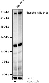 AP0676_2.jpg