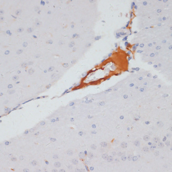 AP0779_3.jpg