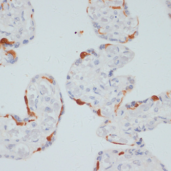AP0827_2.jpg